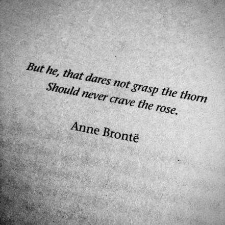 never crave the rose